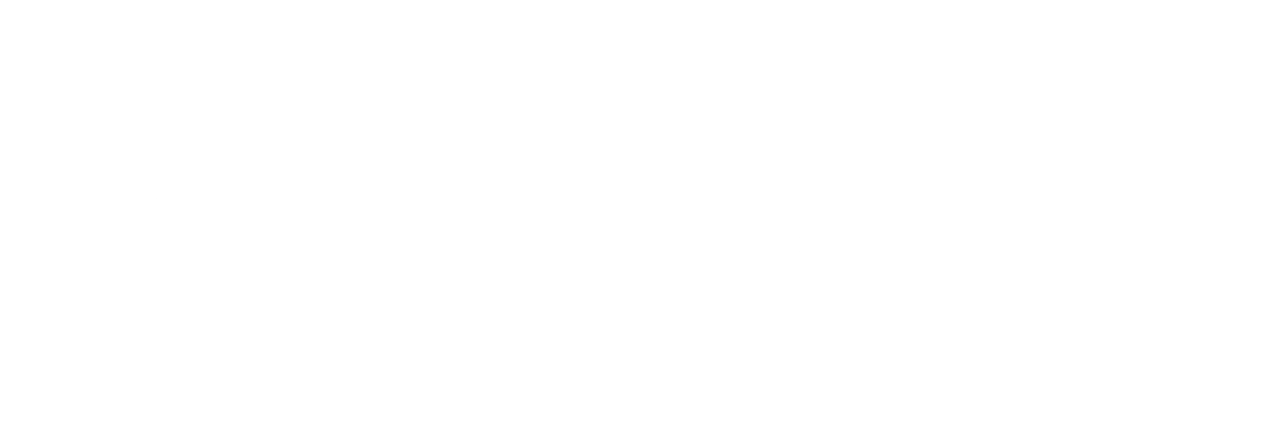 Nanolife-Biotech-Logo-Web